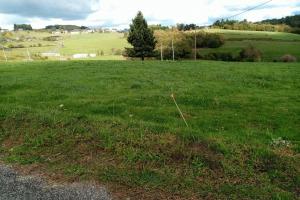 Picture of listing #326123514. Land for sale in Albussac