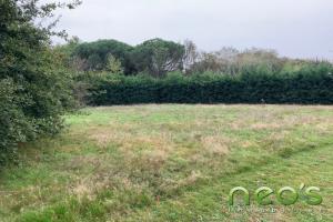 Picture of listing #326247258. Land for sale in Sèvremoine
