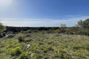 Picture of listing #326306480. Land for sale in Arboras