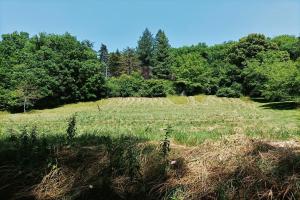 Picture of listing #326314705. Land for sale in Cazals