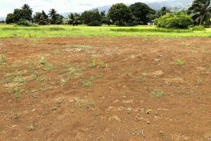 Picture of listing #326367065. Land for sale in Taravao