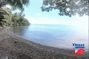 Picture of listing #326368792. Land for sale in Teahupoo