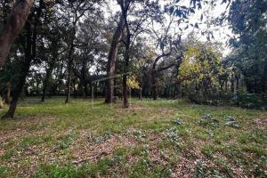 Picture of listing #326411196. Land for sale in Montpellier