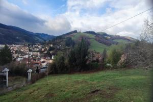 Photo de l'annonce nº 326497233. Terrain à vendre sur Saint-Clément-sur-Valsonne