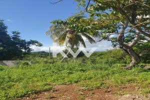 Picture of listing #326576791. Land for sale in Morne-à-l'Eau