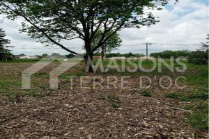 Picture of listing #326758644. Land for sale in Lagrave