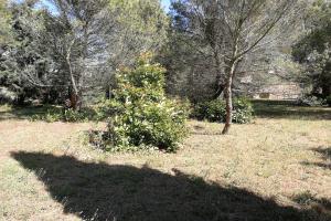 Thumbnail of property #326790360. Click for details