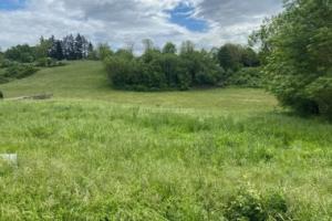 Picture of listing #326825153. Land for sale in Annoisin-Chatelans