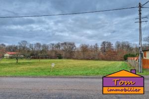 Picture of listing #326885866. Land for sale in Thiaville-sur-Meurthe