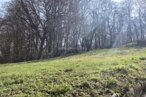 Picture of listing #326944329. Land for sale in Verzy