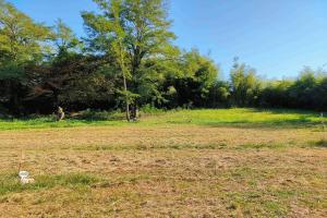 Picture of listing #326963541. Land for sale in Pompignac