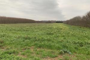 Picture of listing #327030571. Land for sale in Valence