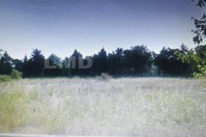 Thumbnail of property #327058025. Click for details