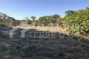 Picture of listing #327182884. Land for sale in Pompertuzat