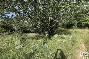 Picture of listing #327279466. Land for sale in Lagorce