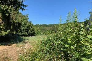 Picture of listing #327296784. Land for sale in Ponchon