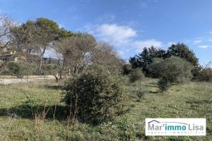 Picture of listing #327451009. Land for sale in Mérindol