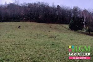 Picture of listing #327591807. Land for sale in Ségura