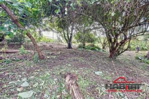 Picture of listing #327594047. Land for sale in Gros-Morne