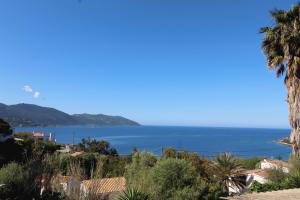 Picture of listing #327610938. Land for sale in Ajaccio