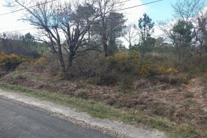 Picture of listing #327616266. Land for sale in Arsac
