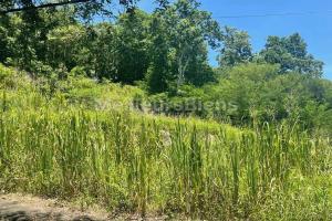Picture of listing #327632513. Land for sale in Le Gosier