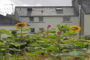 Picture of listing #327653848. House for sale in Quimper