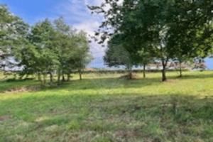 Picture of listing #327705227. Land for sale in Banos