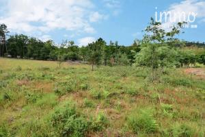 Picture of listing #327727993. Land for sale in Onesse-Laharie