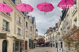 Photo de l'annonce nº 327728882. Commerce à vendre sur Blois