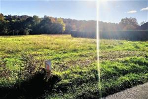 Picture of listing #327735169. Land for sale in Ledeuix