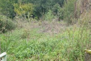 Picture of listing #327763842. Land for sale in Saint-Martory