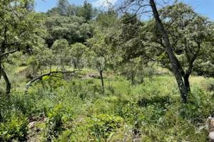 Picture of listing #327780306. Land for sale in Nîmes