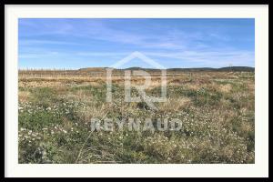 Picture of listing #327826366. Land for sale in Puilacher
