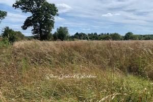 Picture of listing #327843212. Land for sale in Sévérac