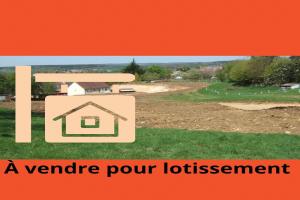 Picture of listing #327845240. Land for sale in Duneau