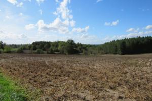 Picture of listing #327847335. Land for sale in Fossemagne