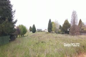 Thumbnail of property #327847383. Click for details