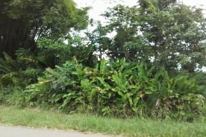 Picture of listing #327860117. Land for sale in Macouria