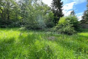 Picture of listing #327864001. Land for sale in Chevreuse