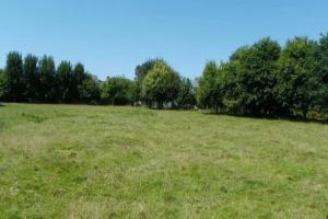 Picture of listing #327917235. Land for sale in Saint-Michel-Escalus