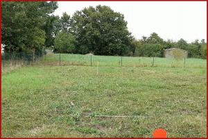 Thumbnail of property #327920994. Click for details