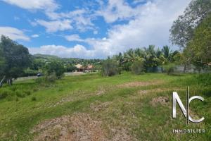Picture of listing #327946102. Land for sale in Païta