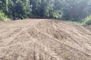 Picture of listing #327948452. Land for sale in Pueu