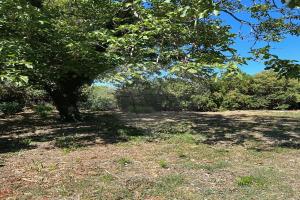 Picture of listing #327951653. Land for sale in Manduel