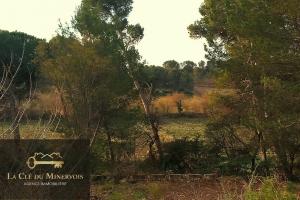 Picture of listing #327996237. Land for sale in Rieux-Minervois