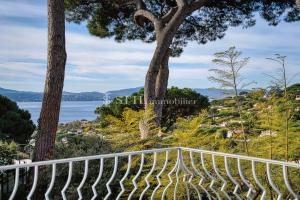 Photo de l'annonce nº 327996989. Maison à vendre sur Sainte-Maxime