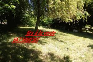 Thumbnail of property #328021276. Click for details
