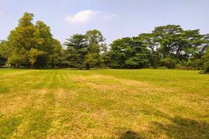 Picture of listing #328034923. Land for sale in Quinsac