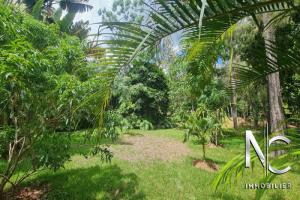 Picture of listing #328041410. Land for sale in Païta